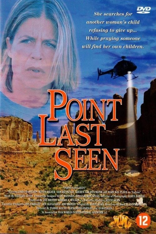 Постер Point Last Seen